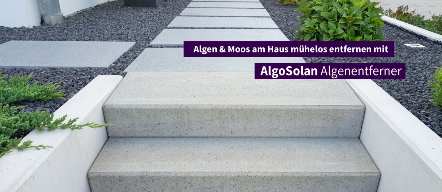 AlgoSolan Grünbelagentferner für Garten, Terasse & Einfahrt