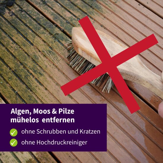 ActiSolan Grünbelagentferner (Konzentrat)