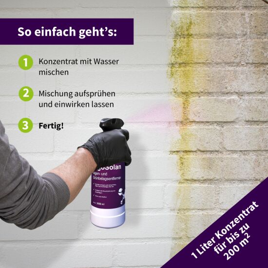 ActiSolan Grünbelagentferner (Konzentrat)
