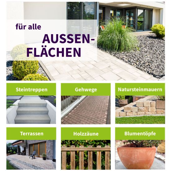 ActiSolan Grünbelagentferner (Konzentrat)