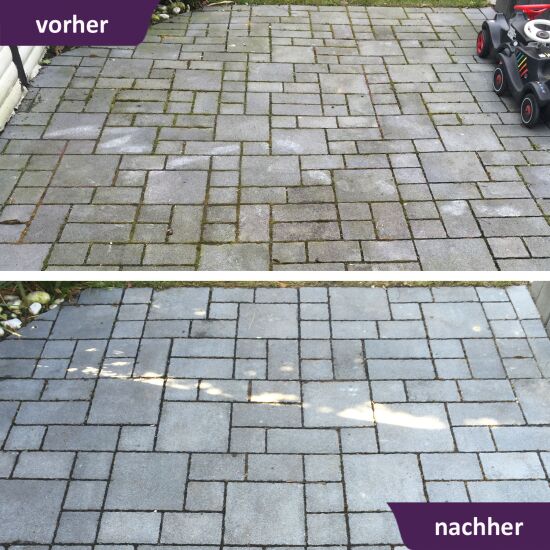 ActiSolan Grünbelagentferner (Konzentrat)