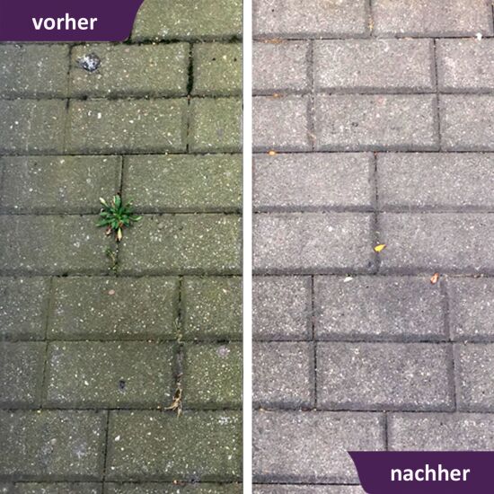 ActiSolan Grünbelagentferner (Konzentrat)