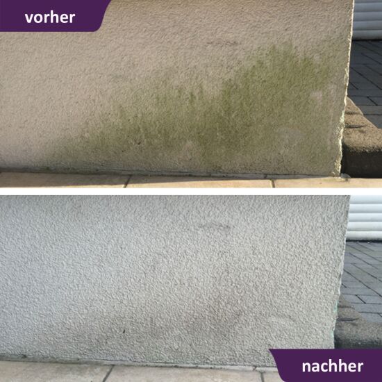 ActiSolan Grünbelagentferner (Konzentrat)