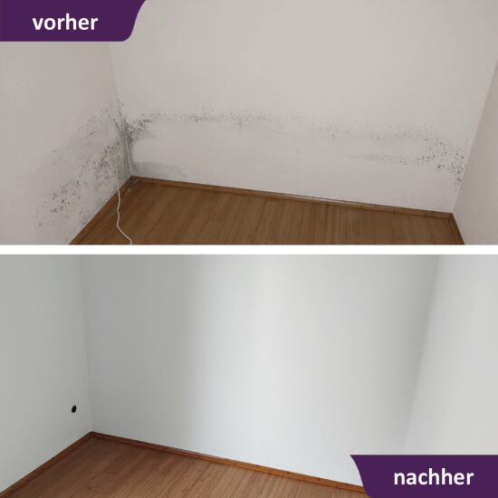 MycoSolan Innenfarbe gegen Schimmel 5,0 Liter (weiß)