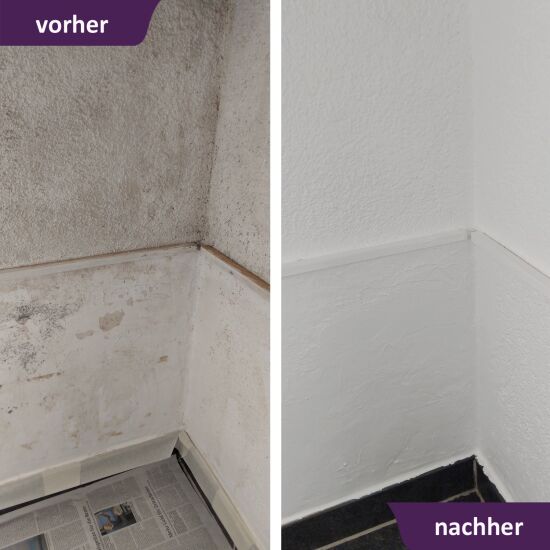 MycoSolan Innenfarbe gegen Schimmel 5,0 Liter (weiß)