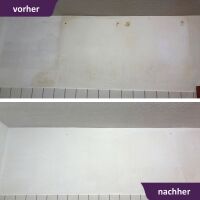 MycoSolan Innenfarbe gegen Schimmel 10,0 Liter (weiß)