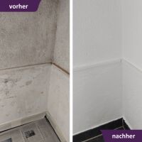 MycoSolan Innenfarbe gegen Schimmel 2,5 Liter (weiß)