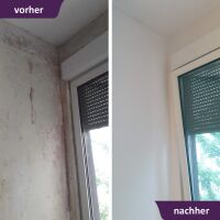 MycoSolan Innenfarbe gegen Schimmel 2,5 Liter (weiß)