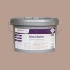 MycoSolan Innenfarbe gegen Schimmel 2,5 Liter im Farbton Fructus 4 (NCS S3010-Y70R)